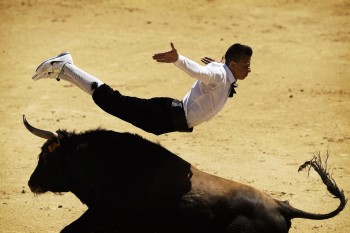 A 'Recortador' leaps over a bull