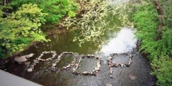 Walking through the forest, when...
