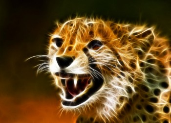 Fractal Cheetah