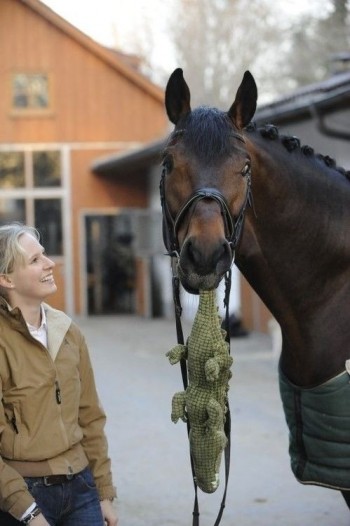 Augustin the race horse and his stuffed alligator