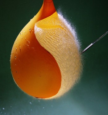 Burst Balloon