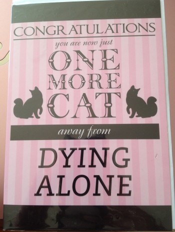 One more cat