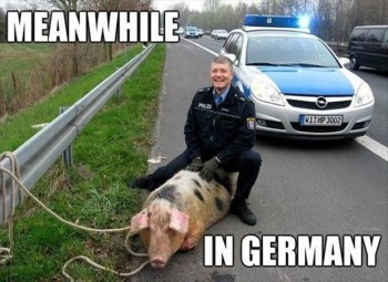 Meanwhile in Germany