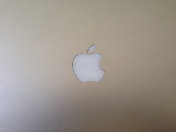 Florida man seeks to wed his Apple computer