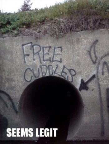 Free Cuddles