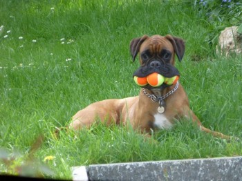My balls, mine!