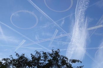 Bored Pilots