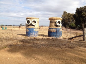Minions