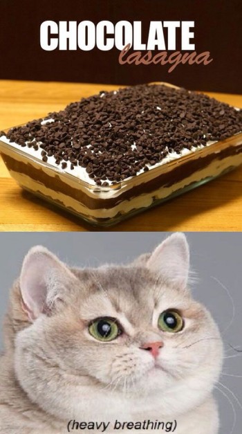 Chocolate Lasagna