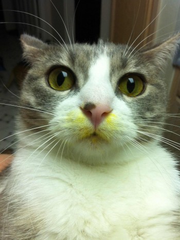 Someones been sniffin' flowers