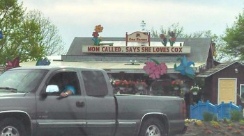 Cox Farms