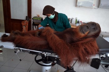 Gettin' my nails done