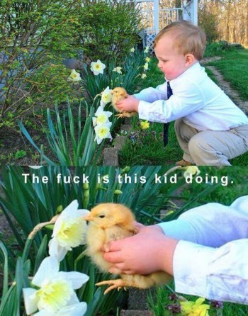 Damnit kid