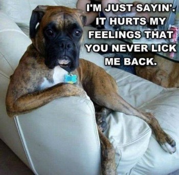 I'm just sayin'