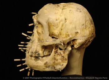Sculpting Human Evolution by Elisabeth Daynès