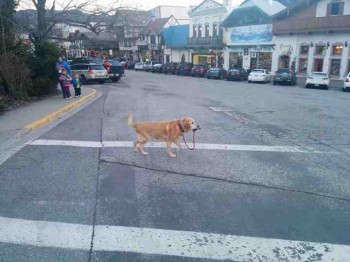 Walking Himself