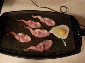How do you like your egg?