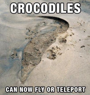 The future of crocodile movement