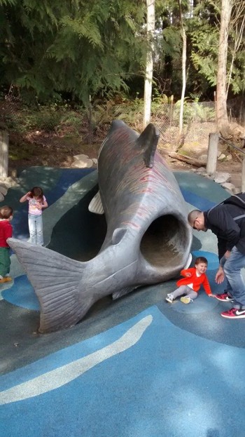 The Salmon Slide....