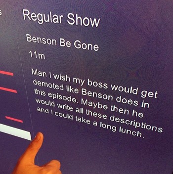 Netflix description
