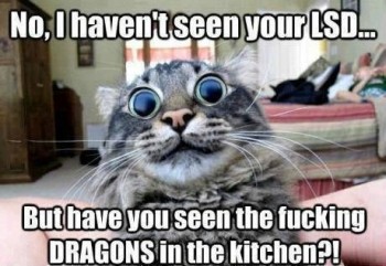 LSD