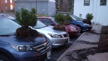 Someone doesn't like the shrubbery