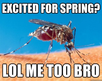 Spring