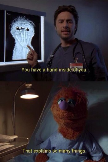 Muppet X-Ray
