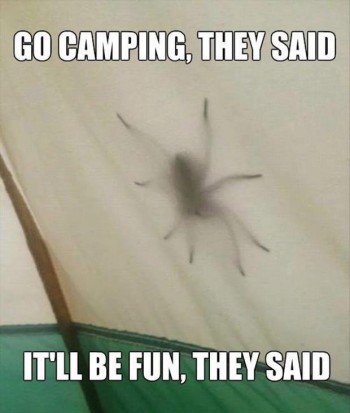 Go Camping