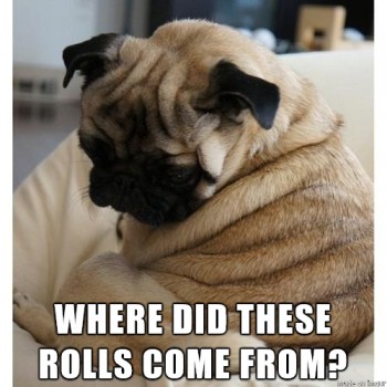 Pug Life