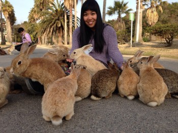 Ōkunoshima, Japan