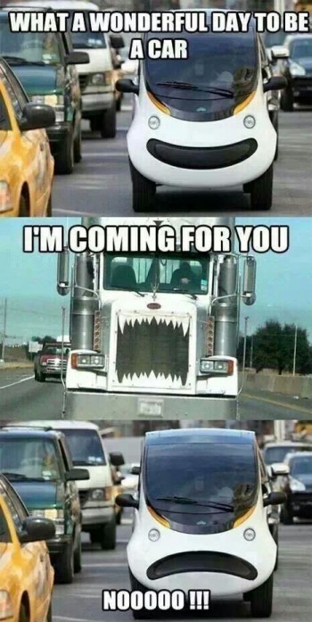 Car Life