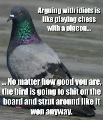 Pigeons