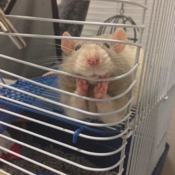 Whatcha thinkin' about?