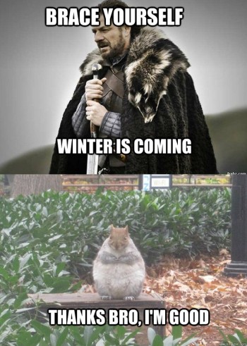 Winter is coming