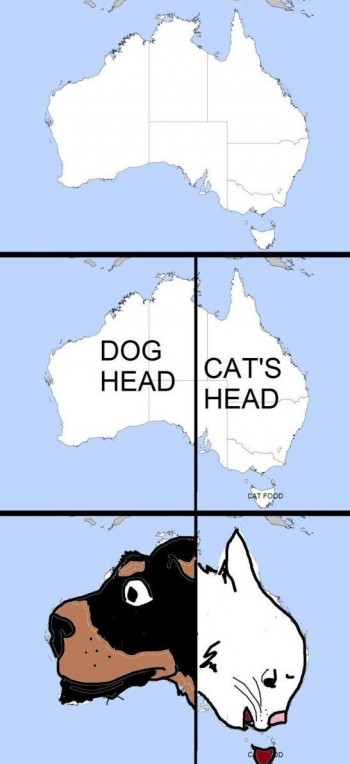 Dog/Cat