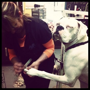 Ahhh yiss, gettin' my nails done...