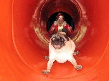 Yay! Slide!