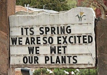 Flower shop