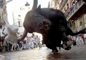Bull Attack