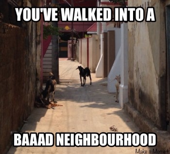 GOAT to be KIDding me!