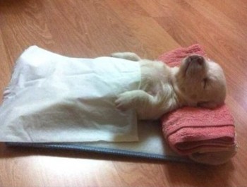 Sleeping