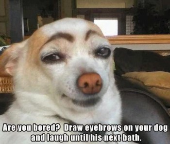 Bored?