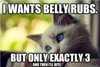I want belly rubs