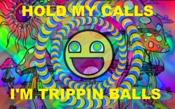Hold my calls