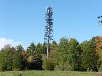 "Yeah so we just disguise it as a tree. It'll blend in perfectly and no one will even know it's a cell tower."