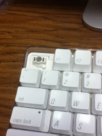 There is no escape!