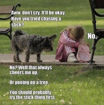 Don't cry