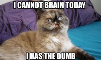 I cannot brain today
