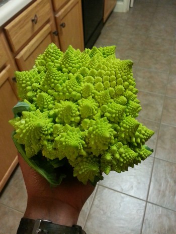 Fractal Broccoli